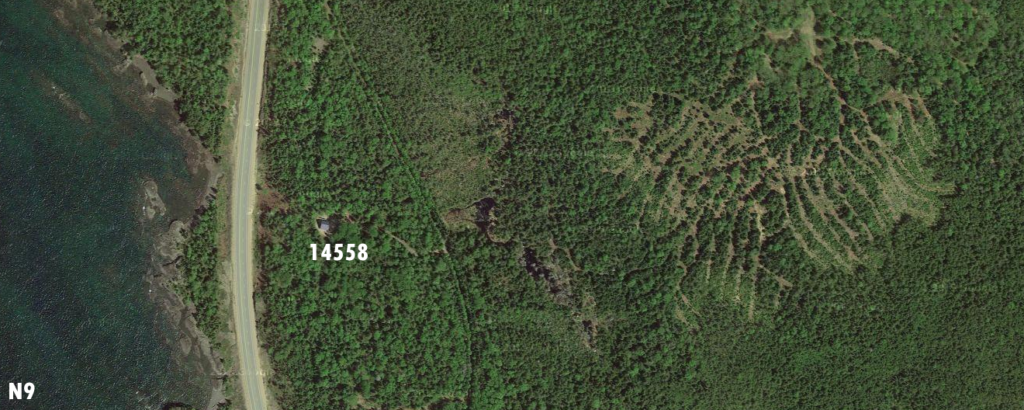 n9 14558
